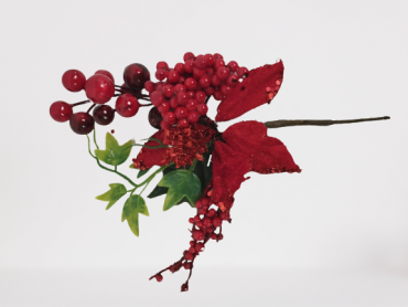 γκι δεντρου